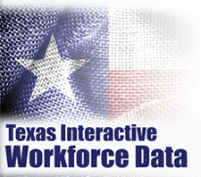 Texas Interactive Workforce Data