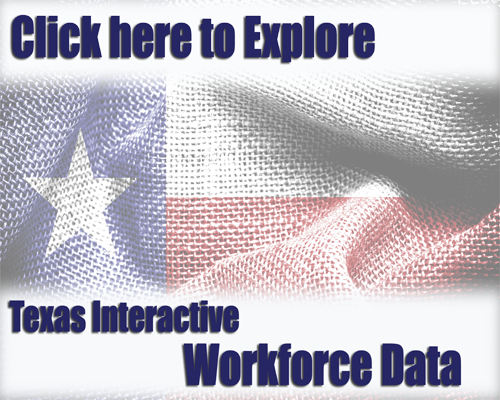 Click here to enter Texas Interactive Workforce Data